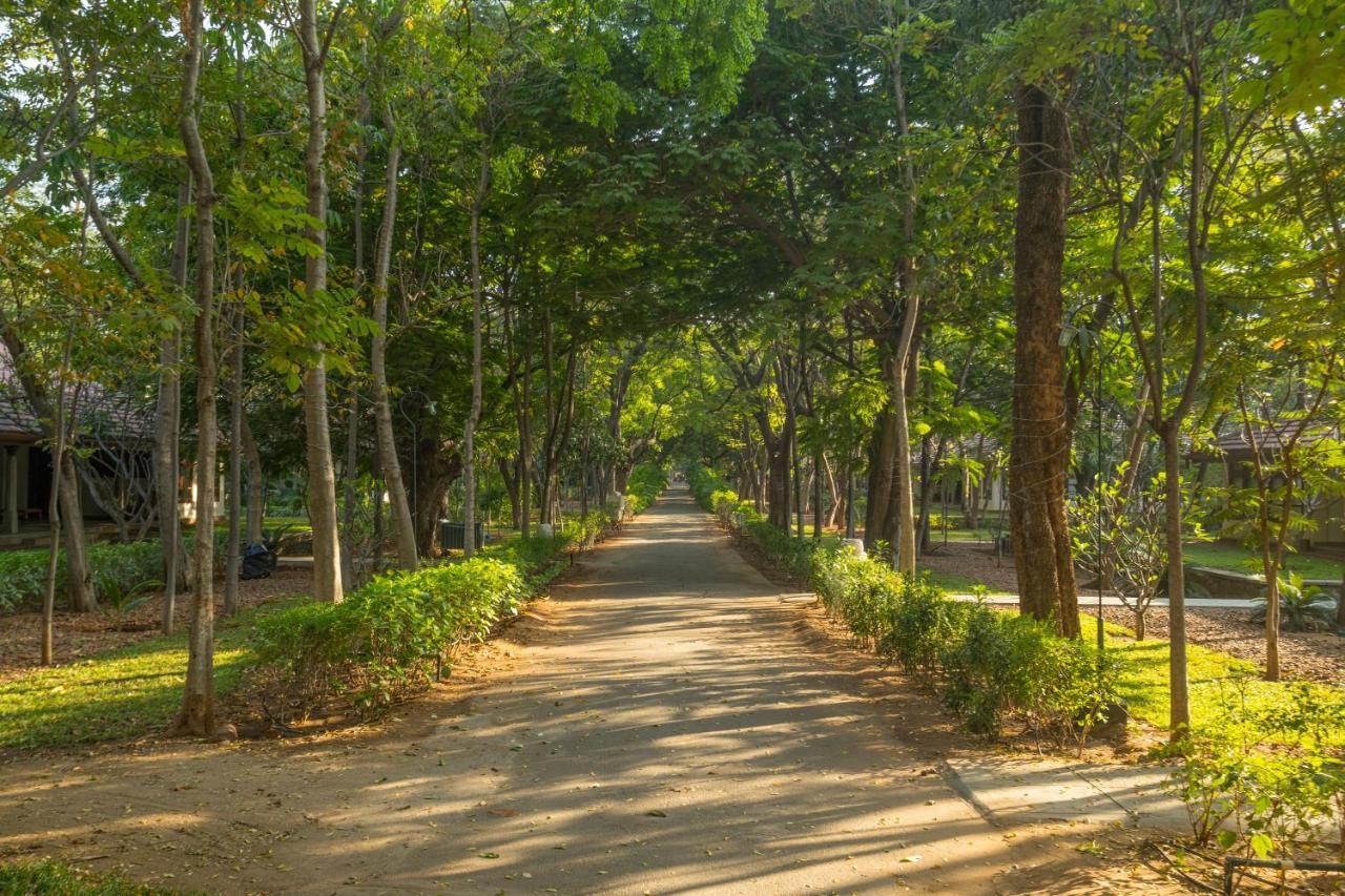 Heritage Madurai Exteriér fotografie A road in the park